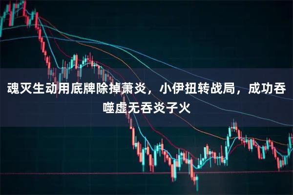 魂灭生动用底牌除掉萧炎，小伊扭转战局，成功吞噬虚无吞炎子火