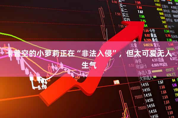 卡普空的小萝莉正在“非法入侵”，但太可爱无人生气
