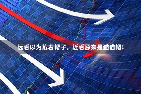 远看以为戴着帽子，近看原来是猫猫帽！