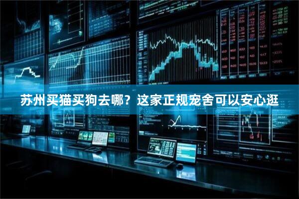 苏州买猫买狗去哪？这家正规宠舍可以安心逛